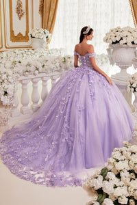 Ladivine Dress 15717