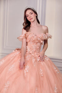 Ladivine Dress 15731