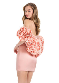 ASHLEYlauren Dress 4832