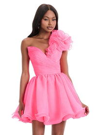 ASHLEYlauren Dress 4958