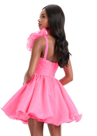ASHLEYlauren Dress 4958