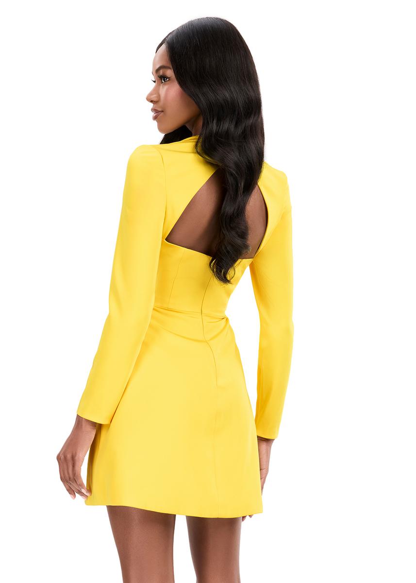ASHLEYlauren Dress 4971