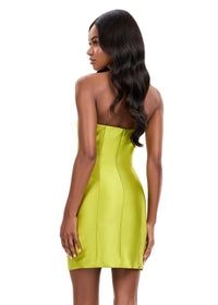 ASHLEYlauren Dress 4973