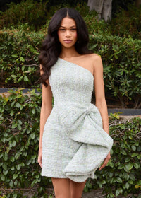 ASHLEYlauren Dress 4976