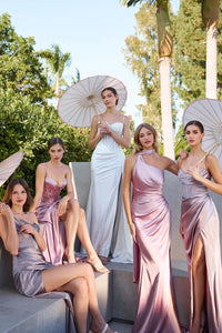 Ladivine Dress CD868W