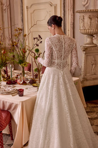 33674 - Allover Lace A-Line Gown with Plunging V-Neckline and Basque Waist