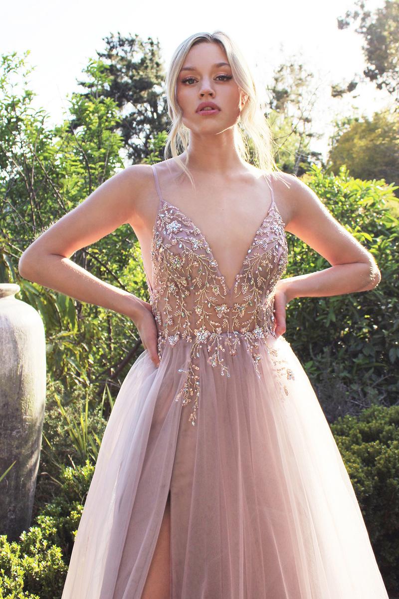 Andrea and Leo Dress A0672