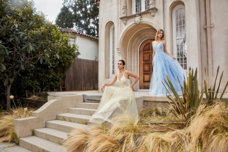 Andrea and Leo Dress A1191