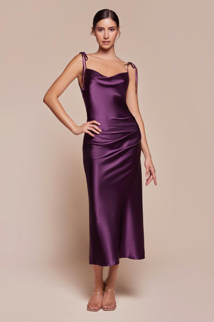 Ladivine Dress BD103