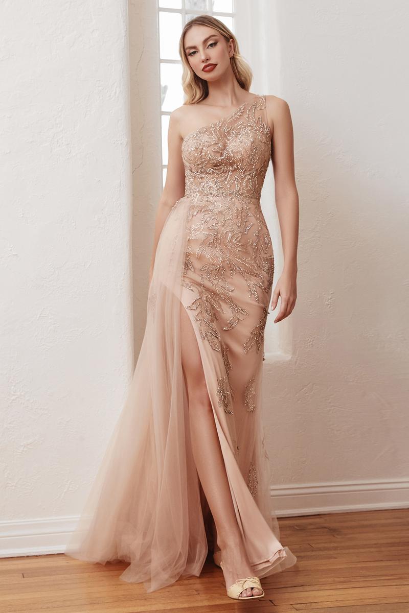 Ladivine Dress CB098 - Plunge Neckline, Long Floral Fit and Flare Gown