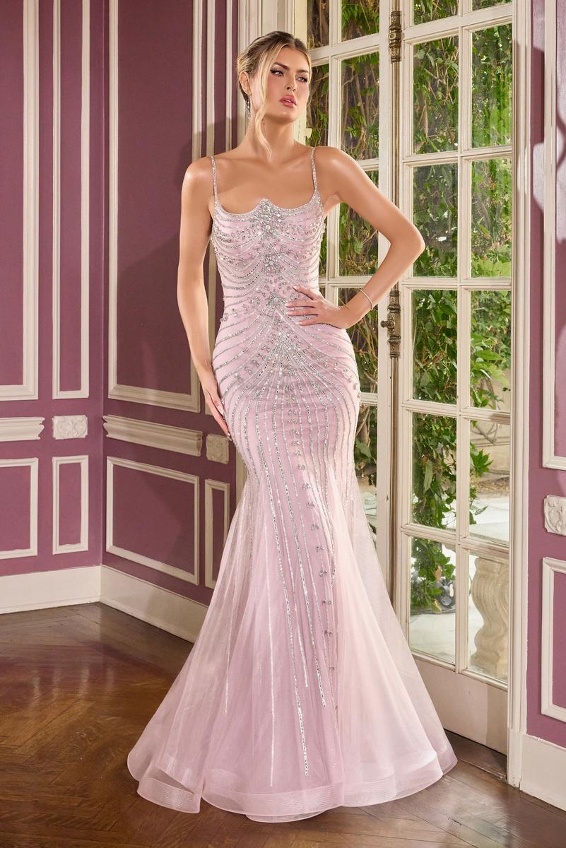 Ladivine Dress CB167