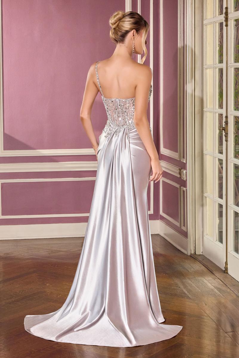 Ladivine Dress CC0329