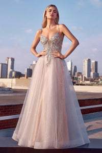 Ladivine Dress CC0881
