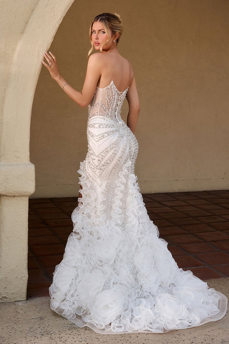 Ladivine Dress CC2488W
