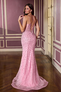 Ladivine Dress CC3902
