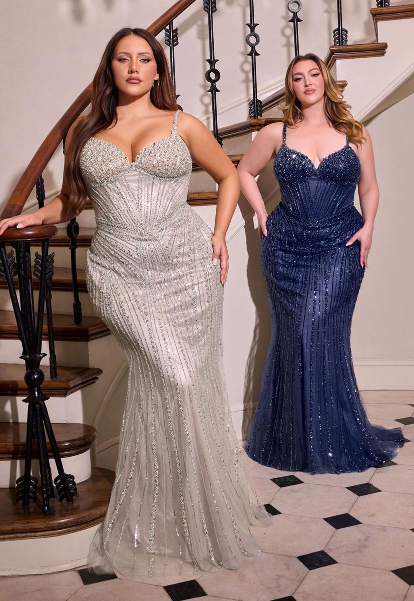 Ladivine Dress CC398C