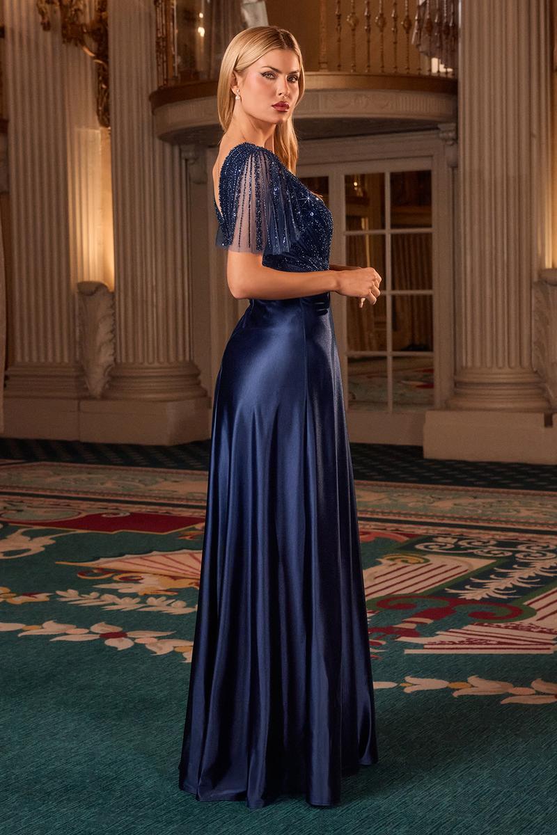 Ladivine Dress CC447
