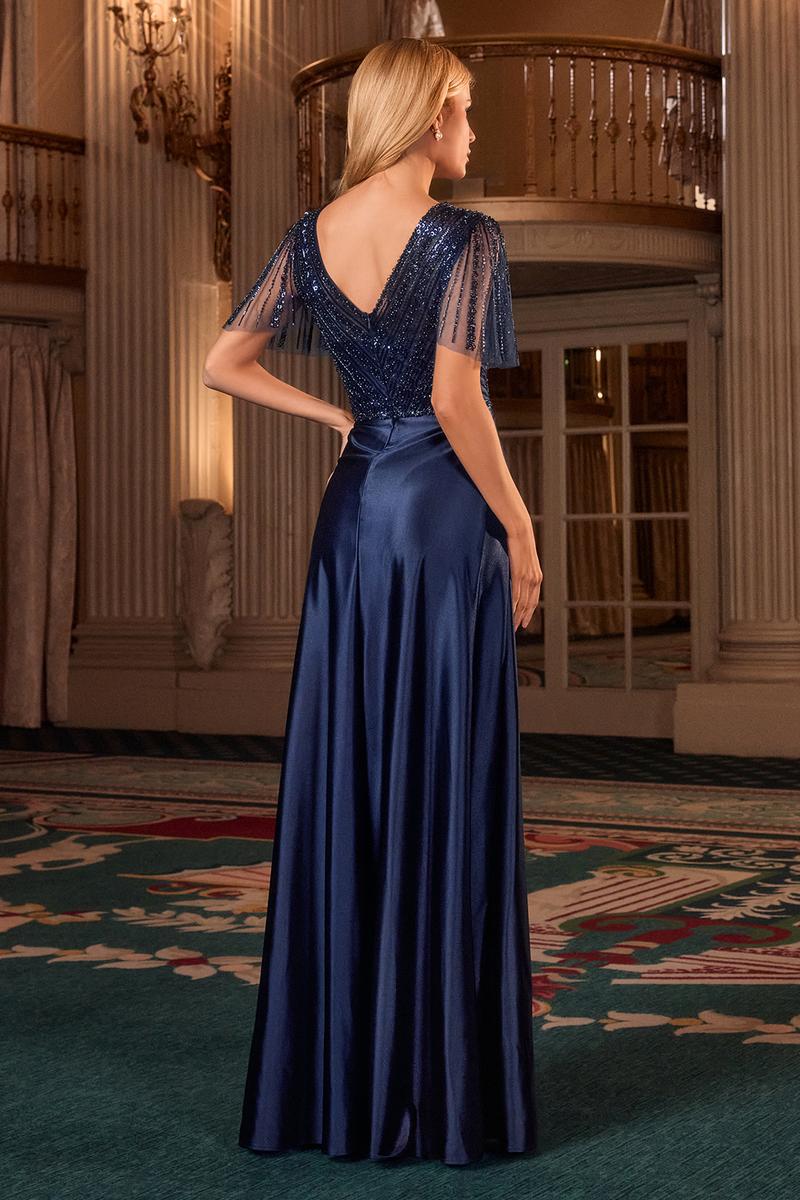 Ladivine Dress CC447