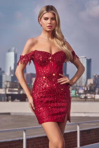 Ladivine Dress CC461