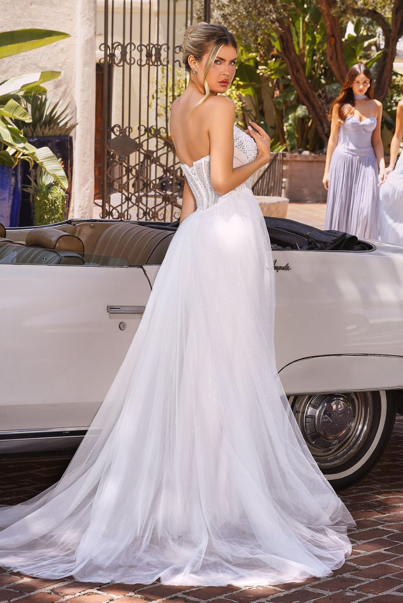 Ladivine Dress CC492W