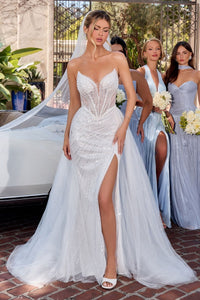 Ladivine Dress CC492W