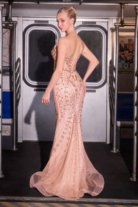 Ladivine Dress CC8262
