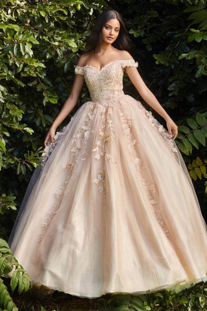 Cinderella Divine Dress CD0185
