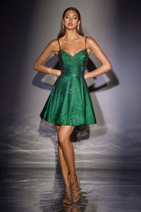 Ladivine Dress CD2422