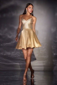 Ladivine Dress CD2422