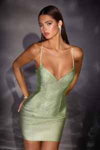 Ladivine Dress CD2424