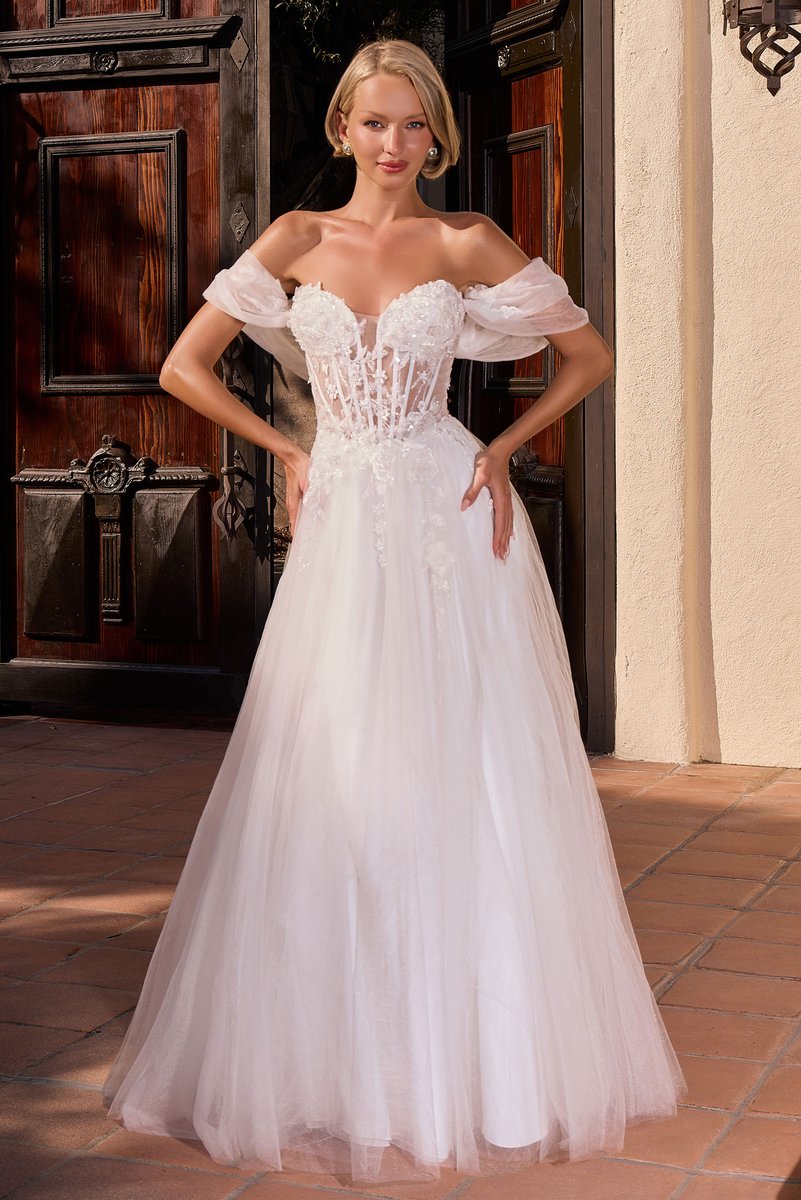 Ladivine Dress CD2426W