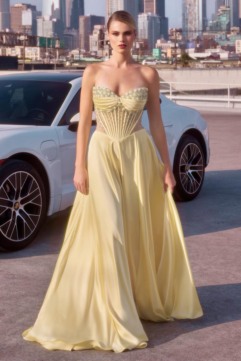 Ladivine Dress CD297