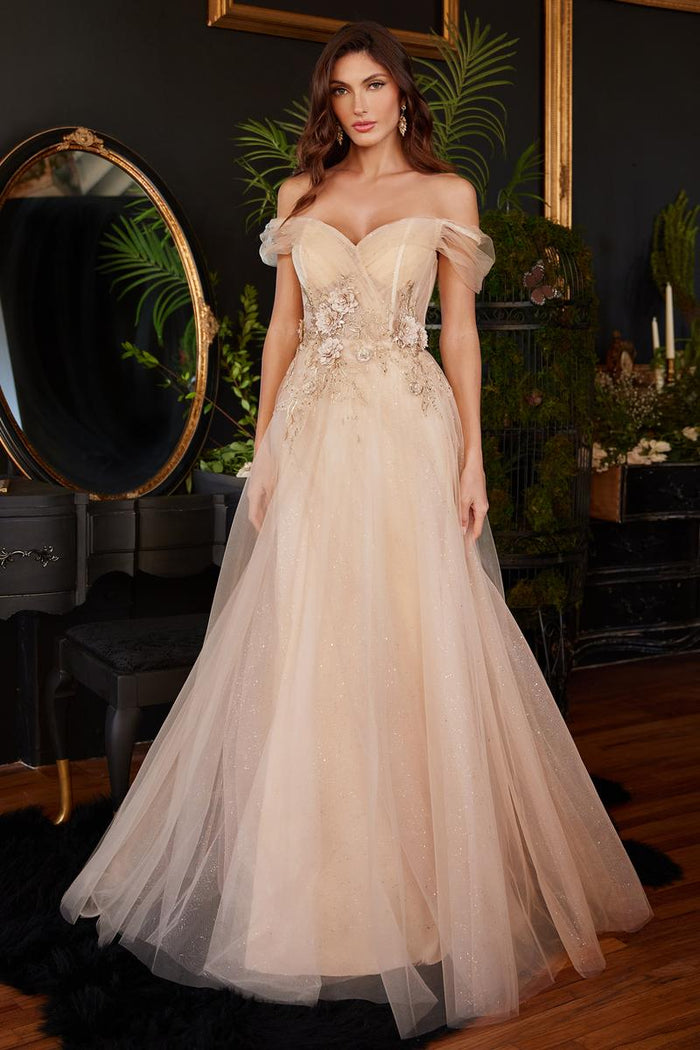 Ladivine Dress CD3395 - Off-Shoulder A-Line Gown