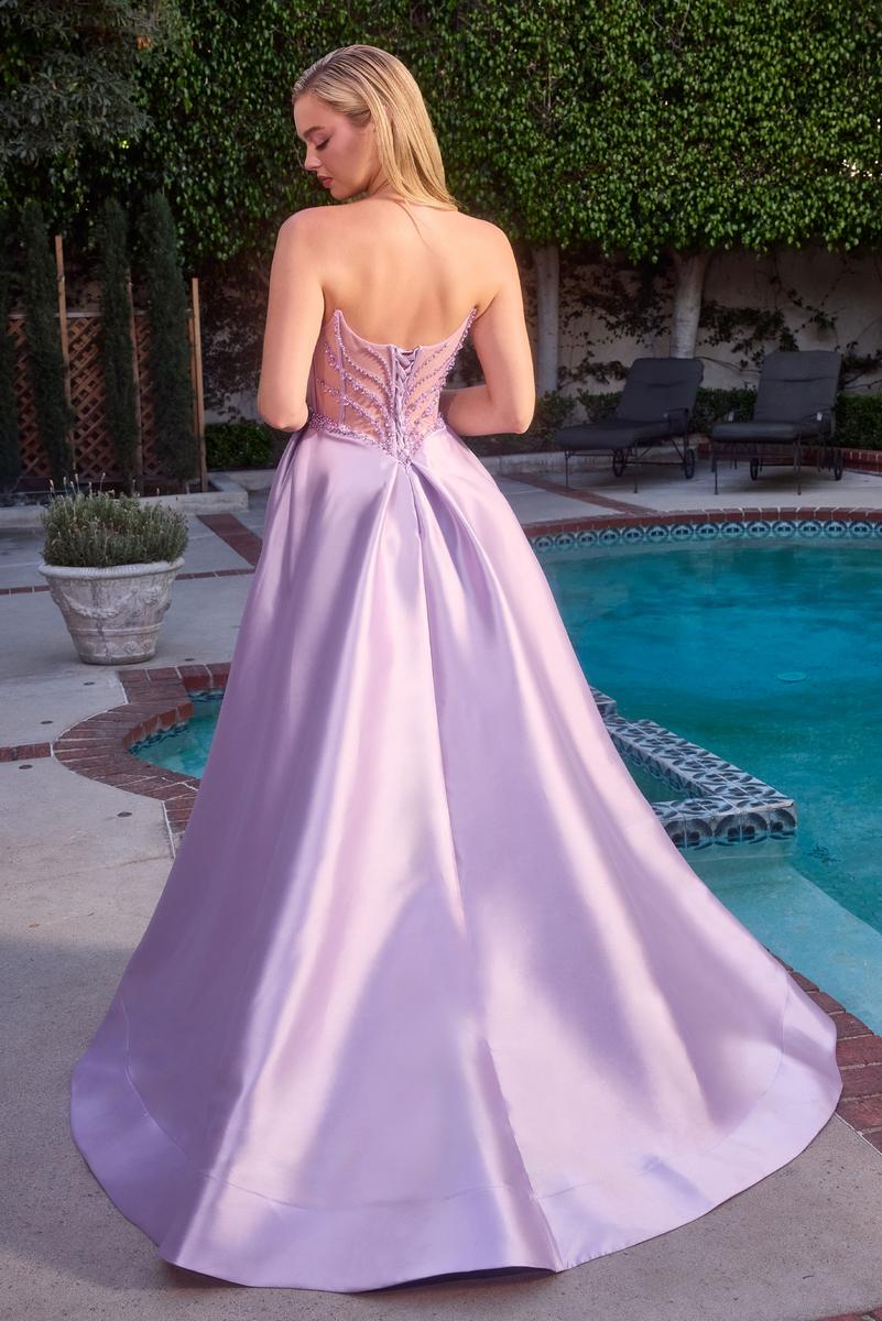 Ladivine Dress CD389