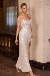 Ladivine Dress CD396
