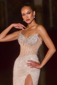 Ladivine Dress CD404