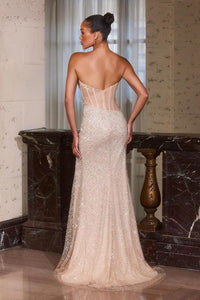 Ladivine Dress CD404