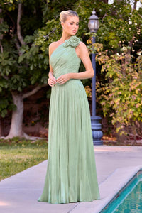 Ladivine Dress CD415