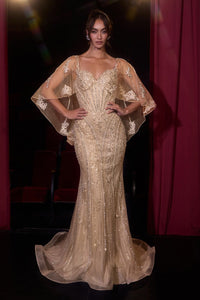 Ladivine Dress CD637