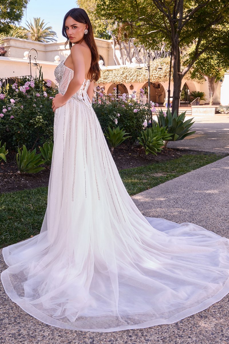Ladivine Dress CD643W