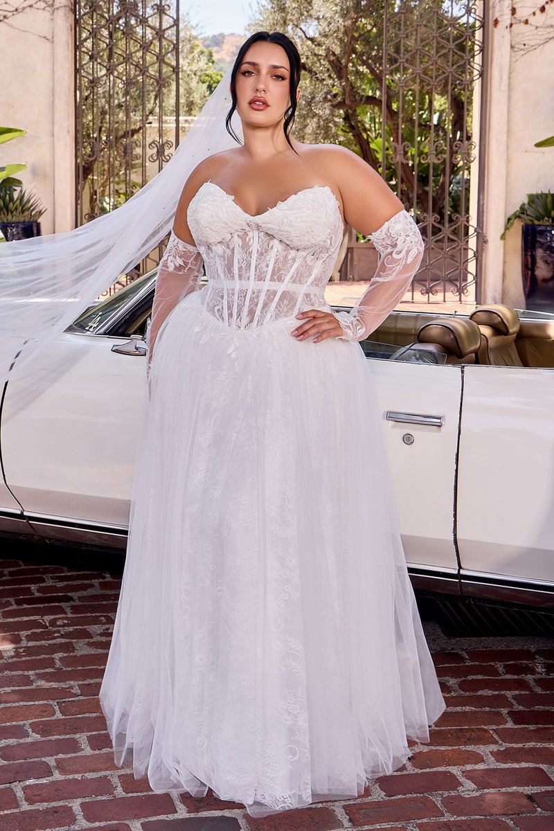 Ladivine Dress CD717W