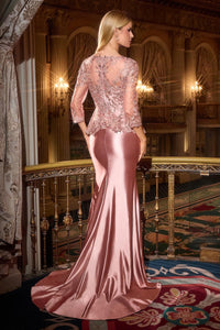 Ladivine Dress CD720