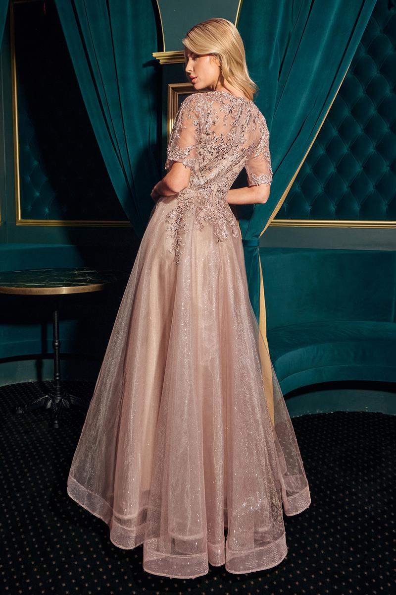 Ladivine Dress CD726