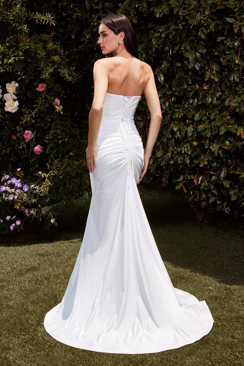 Ladivine Dress CD791W
