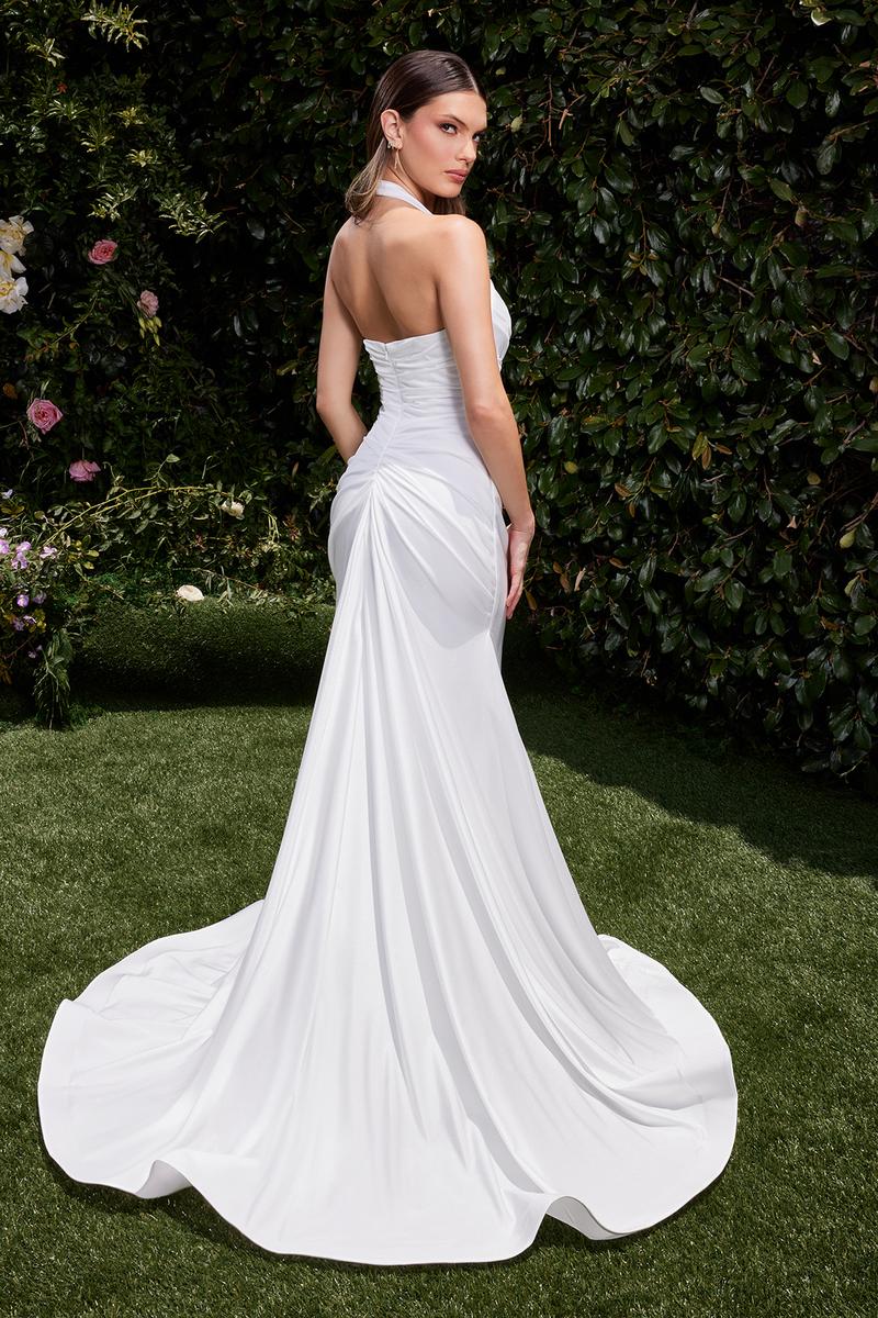 Ladivine Dress CD796W