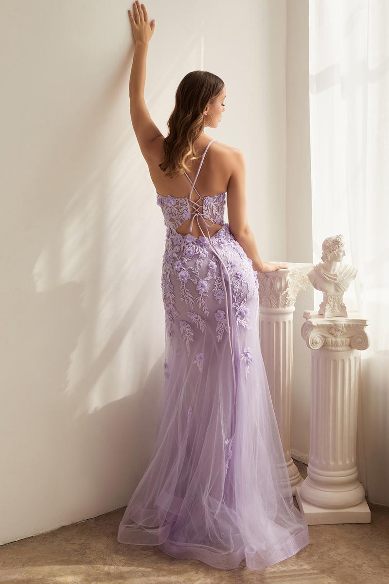 Ladivine Dress CD995