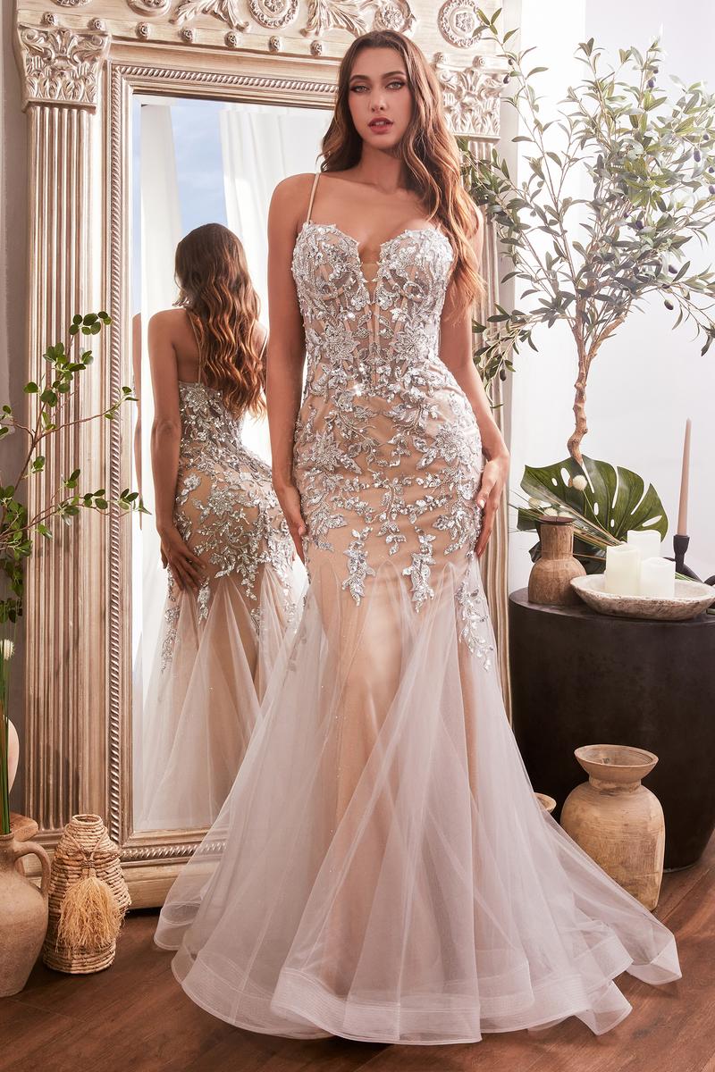 Ladivine Dress CDS488