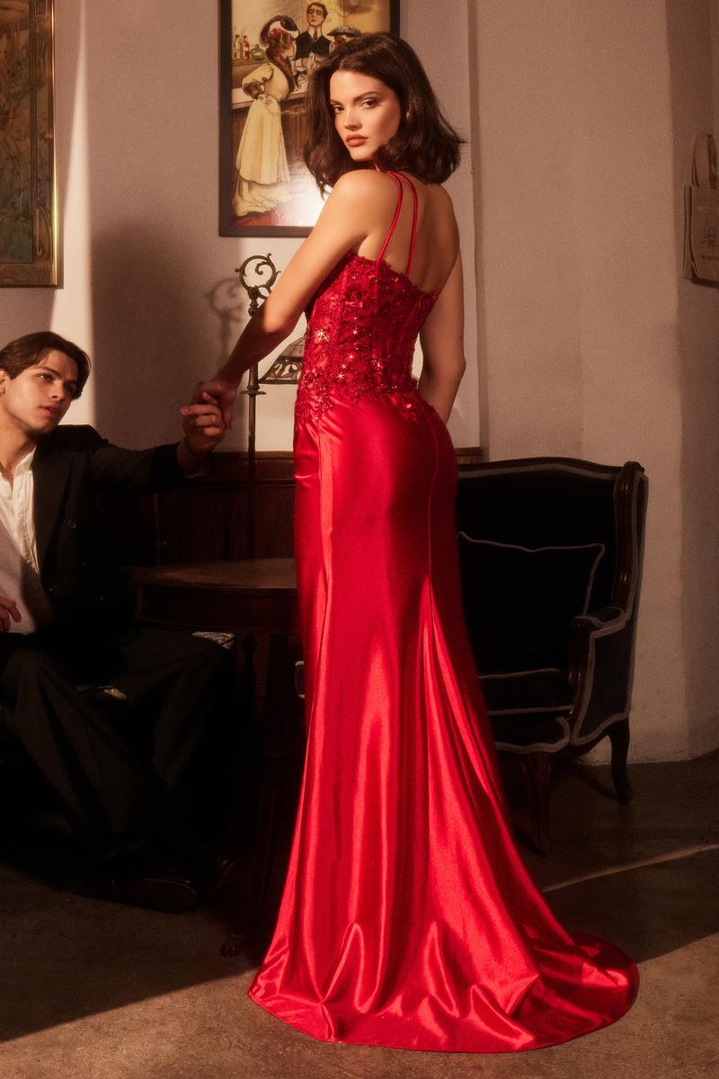 Ladivine Dress CDS535