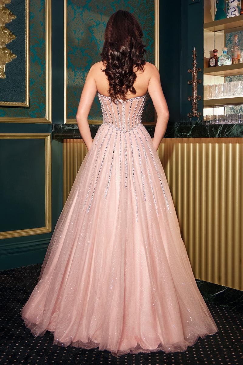 Ladivine Dress CDS541