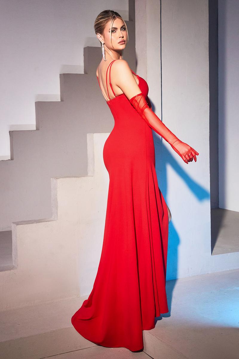 Ladivine Dress CH136 - Plunging Neckline, Long Floral Fit and Flare
